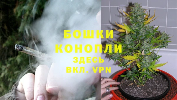 каннабис Ладушкин