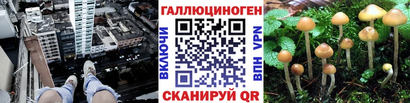 где можно купить   Полтавская  Галлюциногенные грибы прущие грибы 